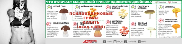 трава Аркадак