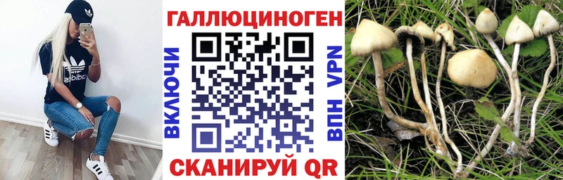 Псилоцибиновые грибы мухоморы  сайты даркнета официальный сайт  Гагарин 